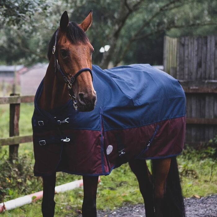 Кінська попона eQuitack 1200 ден, водонепроникна з флісовою підкладкою, 125 см, синя/бордова