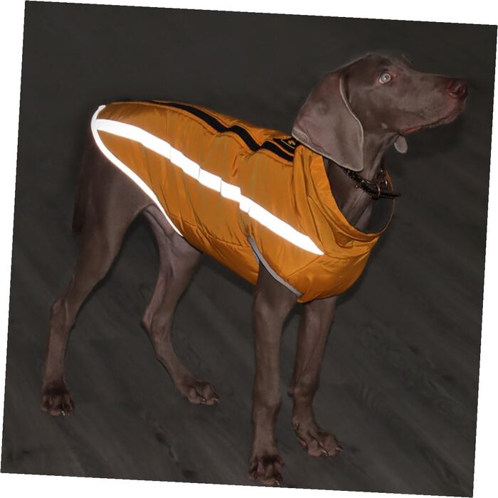 Зимовий теплий дощовик для собак з флісовою підкладкою та світловідбиваючими смугами. Теплий костюм для собак з високим коміром та отвором для повідка. Матеріал: поліестер.