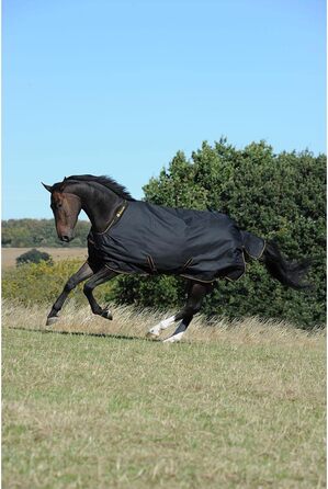 Полог Bucas Irish Turnout 150g, розмір 140, чорний/золотий