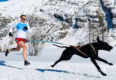 Шлея для собак I-dog Canicross X-Back One XL, для бігу з собакою