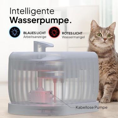 Водяний фонтанчик для котів KABELLOS Pretty Paw© з датчиком руху, преміум-якість, індукційний насос, 45 днів роботи від акумулятора, фільтр, резервуар 3 літри, Pure Flow Max (Сірий, 3Л)