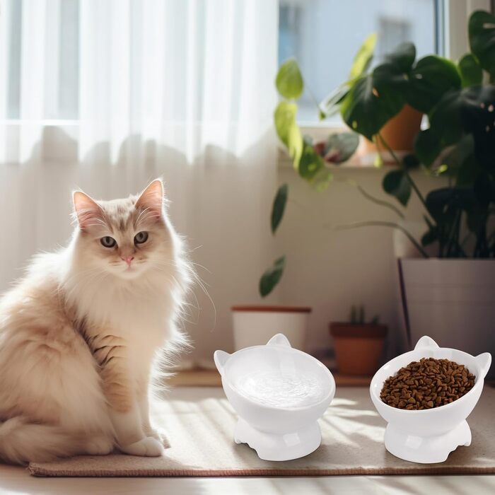 Набір мисок для котів (2 шт.), підняті, з захистом шиї, 15° нахил, кераміка, для корму та води - білий