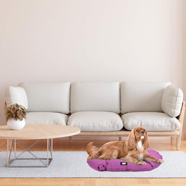 Ортопедичне ліжко для собак великих порід Ferplast: м'яка лежанка-софа з водонепроникним знімним чохлом, 110 x 70 x 8 см (Viola)