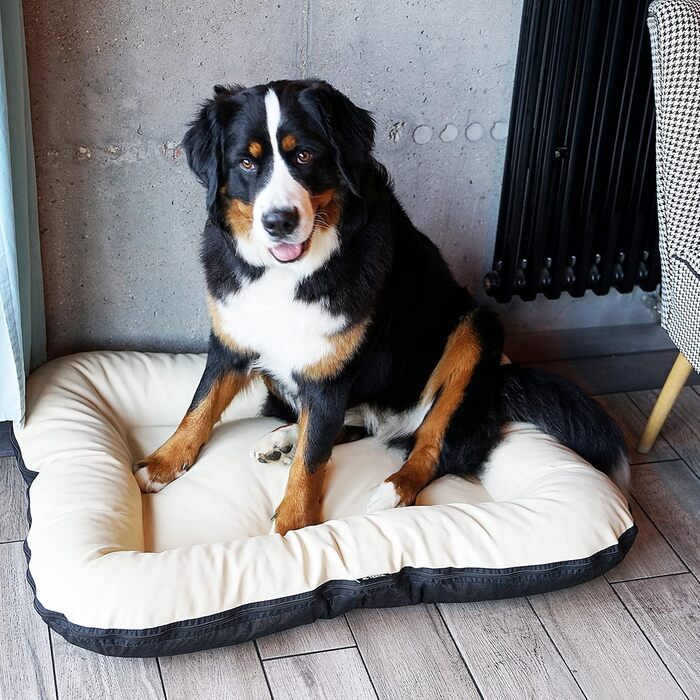 Килимок для собак 4L Textil Ella, 90x70 см, бежевий - водовідштовхувальне штучне шкіряне ліжко для собак середніх порід