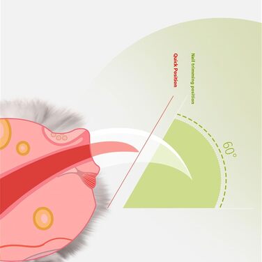 Триммер для обрізання кігтів домашніх тварин з LED-підсвічуванням для собак та котів. Безпечний інструмент для догляду, запобігає розшаруванню кігтів. Професійні ножиці для кігтів для маленьких собак. Зелений колір.
