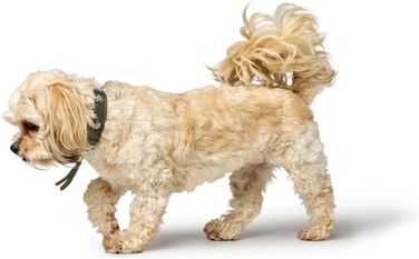 Нашийник для собак HUNTER München зелений/cognac, шкіряний, з елементами традиційного одягу, м'який та міцний, не травмує шерсть, розкішний, екологічно чистий, виготовлений у Німеччині, розмір 50