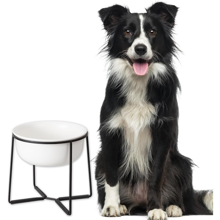 Підвищений керамічний миска для собак з металевим обідком - годівниця для котів та маленьких собак. Біла матова (XL)
