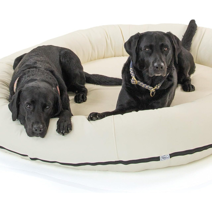 Wallace & Jones | Преміум лежанка для собак Болтон, 63x50 см, штучна шкіра, для маленьких собак, з блискавкою, що ховається, пральна, неслизька, (95 x 81 см, кремово-білий)