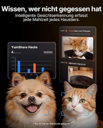 Автоматична годівниця для котів та собак PETKIT YumShare Solo 2 з камерою, розпізнаванням облич та Wi-Fi (2.4/5G), 3 л