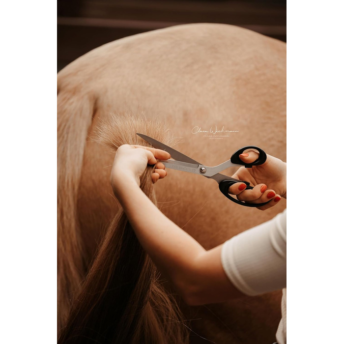 Ножиці для хвоста коня Equimour – професійні ножиці з нержавіючої сталі | Точний зріз для густого хвоста | Ергономічна ручка & чохол з веганської шкіри | Аксесуар для догляду за хвостом коня