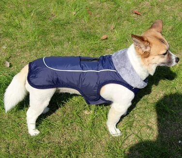 Флісова нашийникова стрічка JoyDaog для собак середніх порід, водонепроникна куртка з бавовни для холодних зим (M, Синій)