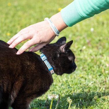 Pettsie нашийник для котів із безпечним замком і браслетом дружби, міцна бавовна, регульований 12,7-20,3 см, синій, D-кільце для аксесуарів