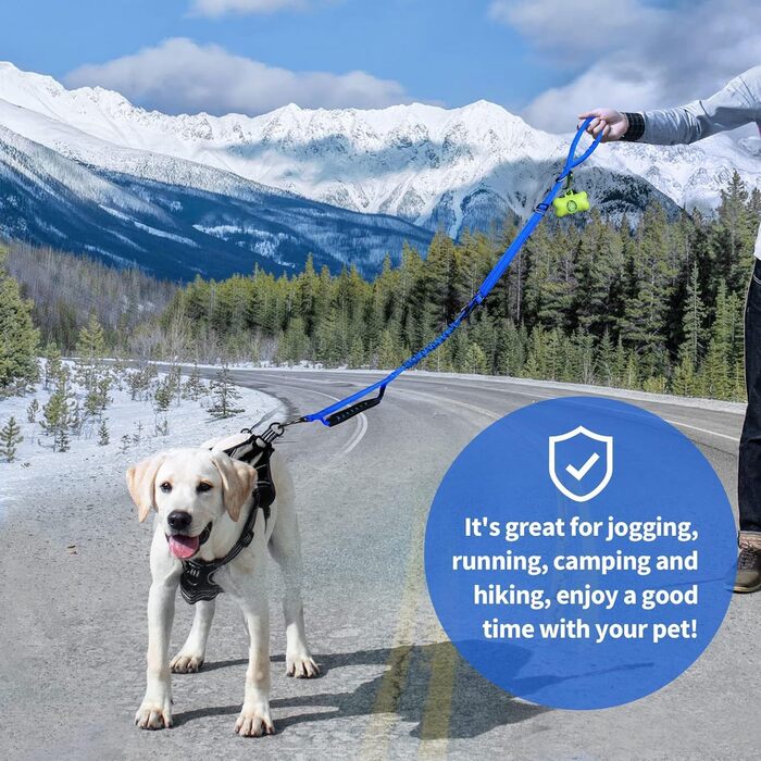 Леєнка для собак IOKHEIRA, регульована (1,2-1,5 м) з безпечним кріпленням, комфортний наповнений ручка та світловідбиваючі нитки (неоновий зелений, океановий блакитний)