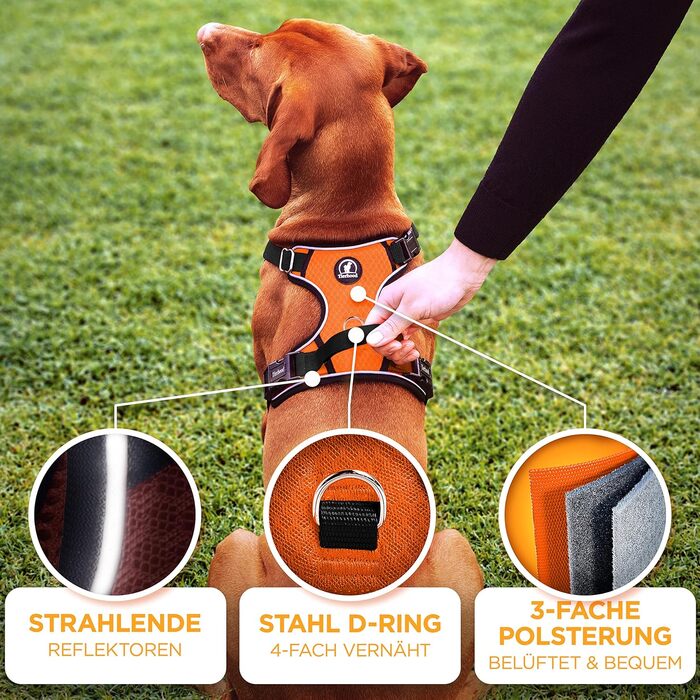 Шлейка для собак - світловідбиваюча, з м'якою підкладкою, для собак різних розмірів, помаранчевого кольору