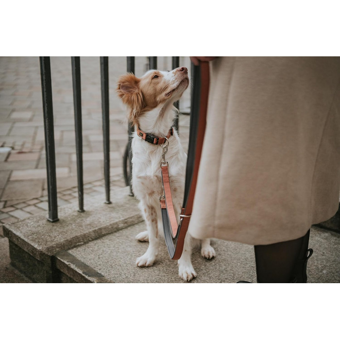 Нашийник для собак HUNTER Neopren Vario Plus, нейлон, неопрен, регульований, з поглинанням ривка, комфортний, розмір L/2,5, колір: мідний/сірий