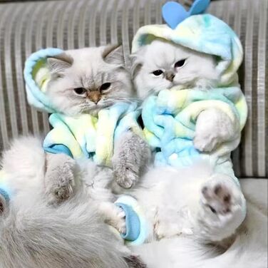 Костюм динозавра для собак, зимовий халат для цуценят, теплий халат з капюшоном, блакитний верхній одяг для холодної погоди, теплий одяг для домашніх тварин на Різдво, Хелловін (Рожевий, M) (X-Large, Зелений)