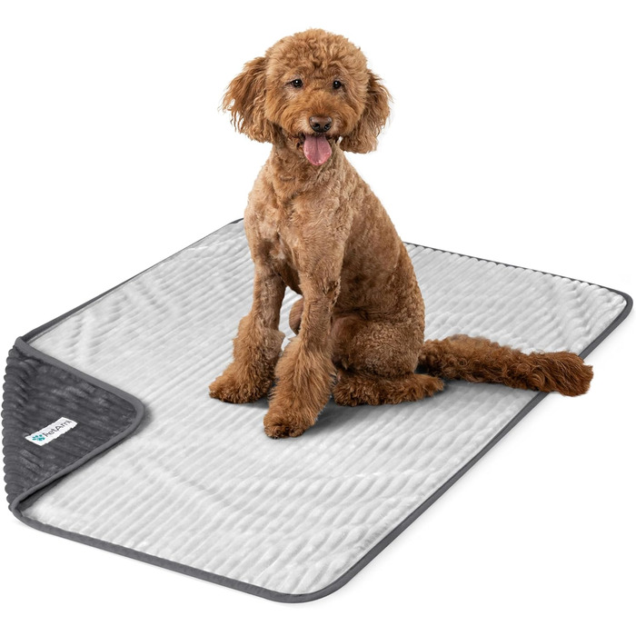 Водонепроникний килимок для собак PetAmi, захисний від протікання, для малих, середніх та великих собак, двосторонній, під меблі, ліжко, диван, софу, чохол, м'який, в смужку, килимок для домашніх тварин, 152,4 x X-Large (60x80), сірий/світло-сірий