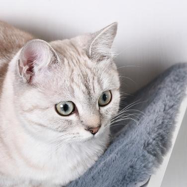 PawHut Cat Bed Настінний стильний шезлонг для кішок з плюшевою подушечкою з МДФ Легка установка в білому сірому кольорі 41x28x21см