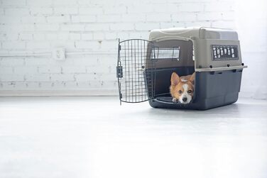 Petmate Ultra Vari: Будка для собак середнього та великого розміру, 101.6 см, 70-40.8 кг, Taupe/Schwarz (L 71 x B 52 x H 55 см)