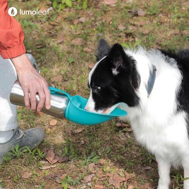 Пляшка для води для собак LumoLeaf 800 мл, нержавіюча сталь, портативний поїльник для подорожей, прогулянок і кемпінгу, синя