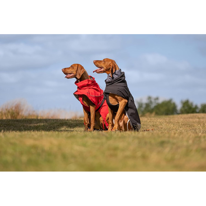 iEnergy™ Куртка для собак на зиму, тепла, легка та світловідбиваюча. Підходить для прогулянок та походів (Червоний, Середній) (XL)