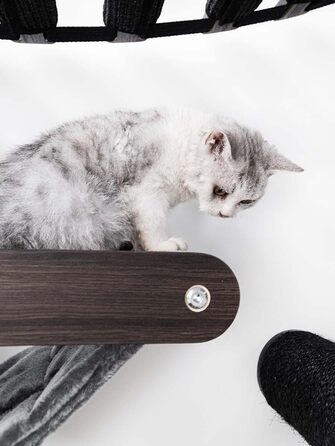 Настінний лежак-гамак для котів Petrebels Lazy 50 см, преміум-якість, чорний та коричневий, дерев'яний, настінне кріплення, кігтеточка, котяче ліжко