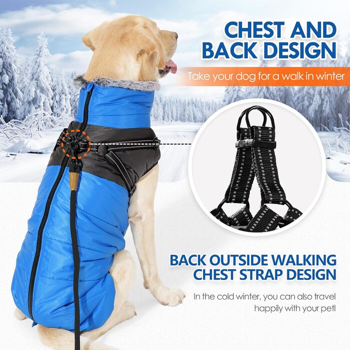 Зимовий одяг для собак, непромоканий та вітронепроникний, теплий з високим коміром, інтегрованим дзвоником, світловідбиваючими елементами та блискавкою – ідеальний для холодної погоди та снігу (Blue, XXL)