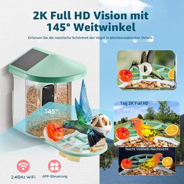 Годівниця для птахів VEVOR з камерою 2K HD, ШІ-розпізнаванням понад 10 000 видів птахів, сонячною панеллю та автоматичним записом (Зелена)