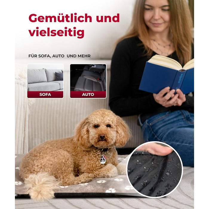 Лежанка для собак HS-Hundebett® XS (45x65 см) – неслизька та затишна, з наповнювачем 3 см – ідеальна для дивану, авто та переноски – Made in DE (65 x 95 см, Tatze Beige)