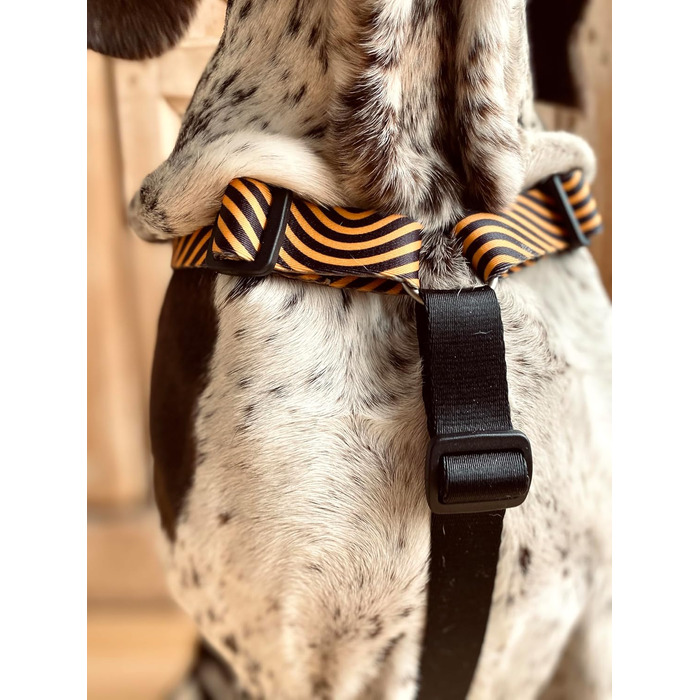 Шлейка для собак MORSO® H, 5-точкове регулювання, жовто-оранжевий/чорний, розмір M
