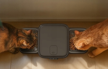 Автоматичний годувальник Oneisall, пластик, 5000 мл