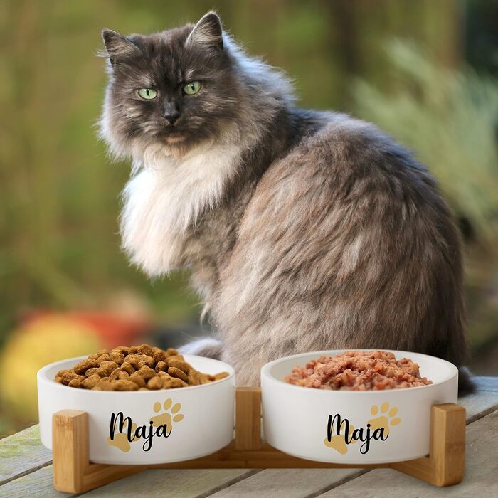 Керамічний подвійний набір мисок з іменем для собак та котів 'Дві маленькі лапки' - персоналізований набір мисок з/без підставки | Миска для собак, годівниця, миска для їжі | Годівниця (2x 1300 мл, з підставкою)