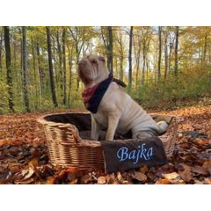 Плетенний корзинка для собак та котів з подушкою, 75x75 см, натуральне плетіння