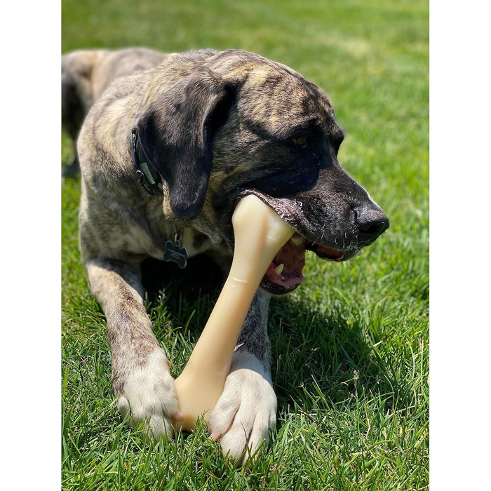 Nylabone Extreme іграшка-кістка для собак, для агресивних та сильних жуваків, зі смаком курки, для дуже великих собак понад 23 кг