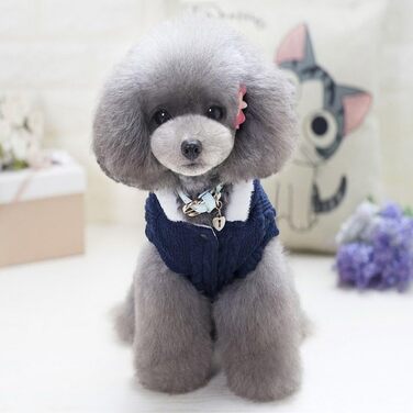 Світер для собак SMALLLEE_LUCKY_STORE з капюшоном, теплий худі, куртка, верхній одяг для маленьких собак, блакитний, розмір M (Спина: 24 см, Груди: 37 см)