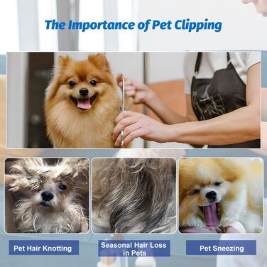 Набір професійних ножиць для собак 7 в 1 з нержавіючої сталі, з безпечними закругленими кінчиками. Включає ножиці для вирівнювання, вигнуті та прямі ножиці, гребінець для грумінгу. Підходить для собак, котів та інших тварин