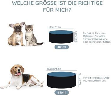 Набір мисок для собак та котів SPUNKYJUNKY з кераміки, 2 шт., 400 мл, блакитний, з підставкою з бамбука
