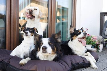 Ліжко для собак середніх розмірів 4L Textil KLEO, 90x70 см та 130x110 см, колір бежевий/темно-зелений, з блискавкою, вологостійке, знімний чохол