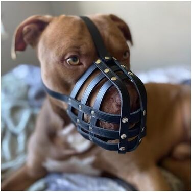 Намордник з натуральної шкіри для American Bully, Bully XL та схожих порід