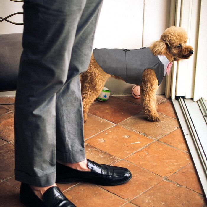 Костюм для собак 