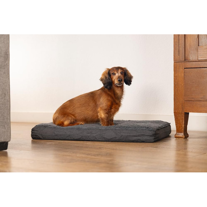 Ортопедичне ліжко для собак Beeztees Zira, темно-сірий, 75x50x9 см