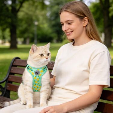 Шлейка для котів та кошенят BEAUTYZOO з повідцем 152 см, світловідбиваючий комплект для прогулянок, дихаюча сітка, розмір S (обхват грудей 28-40 см), ананасово-зелений