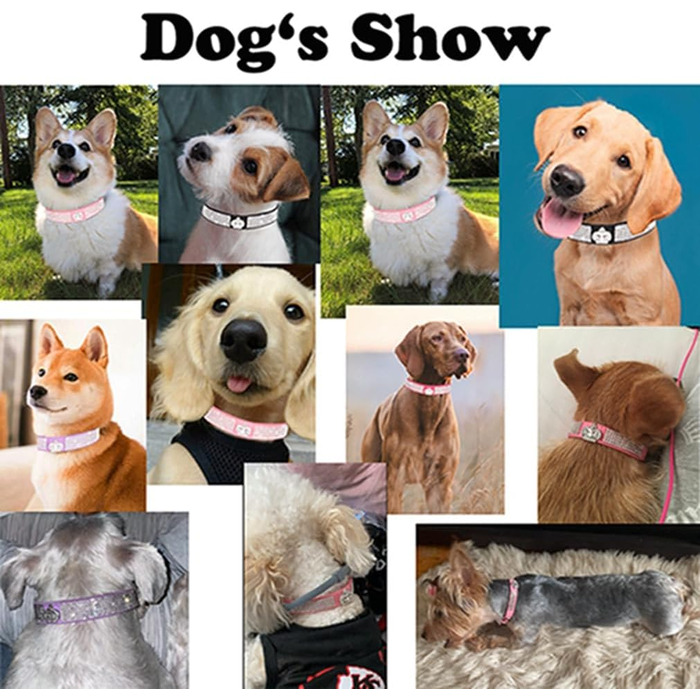 Рожевий ошийник для собак і котів з короною та стразами, блискучий, для цуценят та дрібних тварин, XXS, XS, середні розміри