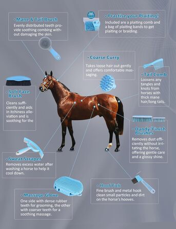 Набір для догляду за конями Harrison Howard, 9 предметів, блакитний. Органайзер, сумка для перенесення