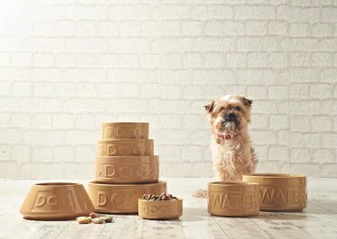 Миска для собак Mason Cash з написом 