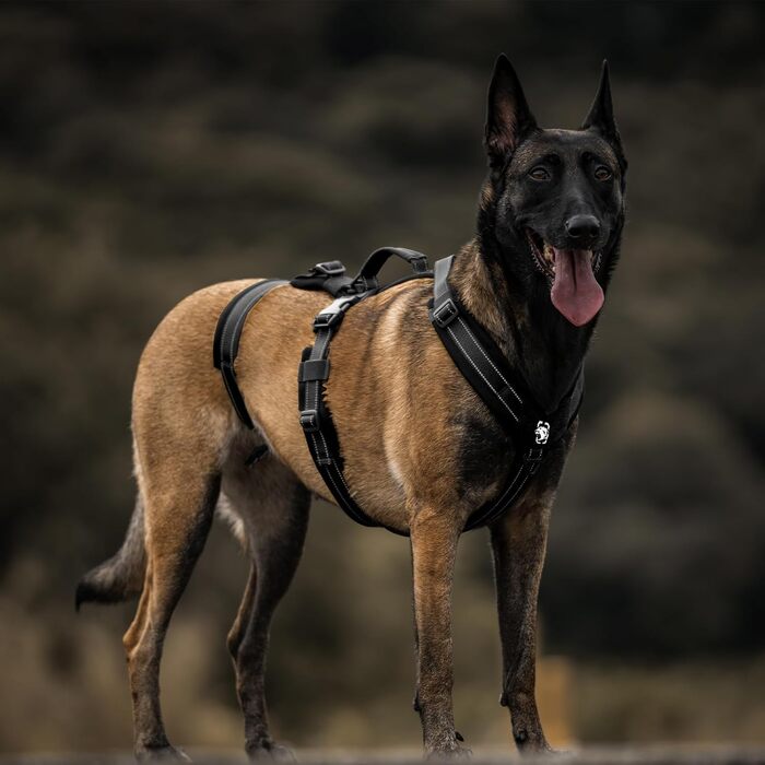 Нашийник для собак OneTigris HOUNDLOCK тактичний, чорний, M (14-27 кг)