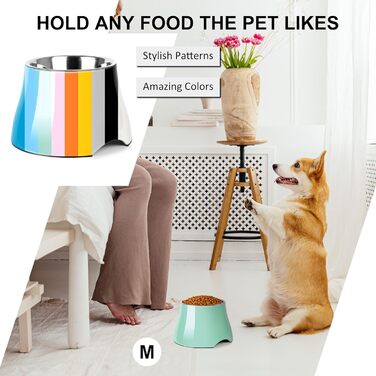 Миска для собак Petvillage, конічної форми, неслизька, з нержавіючою сталею, піднята миска для середніх собак, спанієлів з довгими вухами, велика місткість, розмір L, 3 чашки, (Medium(2 чашки), м'ятний колір)