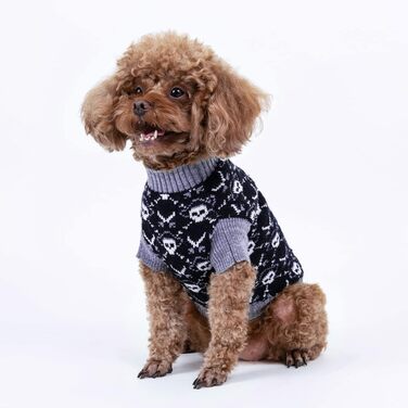 Светр на Halloween для собак Cutebone з принтом піратського черепа, одяг для маленьких собак, зручні світшоти, нашийник для повідка DS39L-DE L