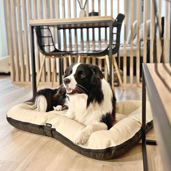 Килимок для собак 4L Textil Ella, 90x70 см, бежевий - водовідштовхувальне штучне шкіряне ліжко для собак середніх порід