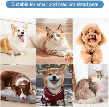 Миска для миття лап собак, рожева | 2 швидкості, захист від бризок | Аксесуар для догляду за лапами під час прогулянок, походів, кемпінгу